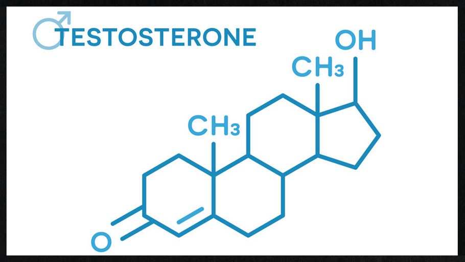 What is Testosterone?