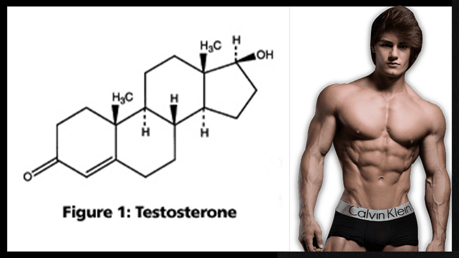 Androgen Receptors